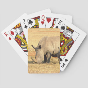 Cute rhinoceros in africa playing cards