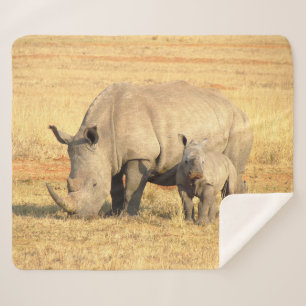 Cute rhinoceros in africa   sherpa blanket