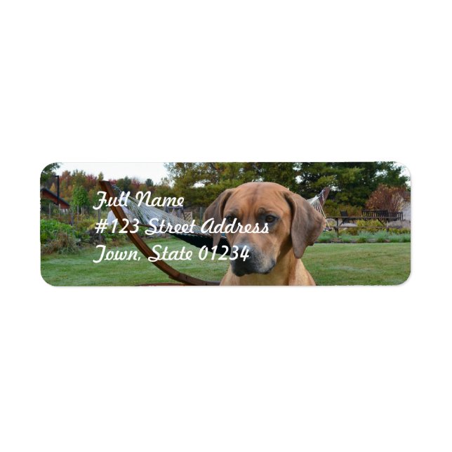 Cute Rhodesian Ridgeback Return Address Label (Front)