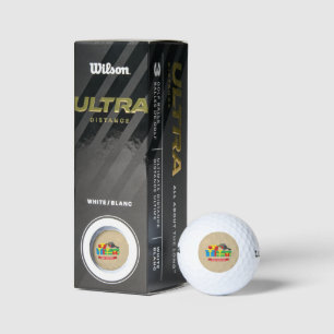 Cute Robin And The Four Colourful Gifts Golf Balls