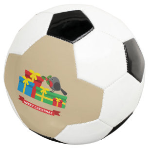 Cute Robin And The Four Colourful Gifts Soccer Ball