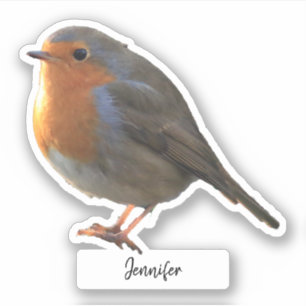 Cute Robin bird personalised custom cut