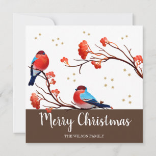 Cute Robin Birds On Red Berry Branch Christmas Holiday Card