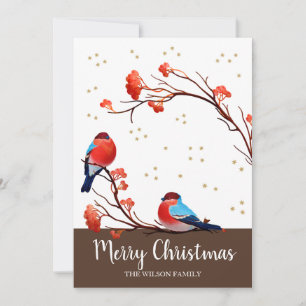 Cute Robin Birds On Red Berry Branch Christmas Holiday Card
