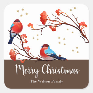 Cute Robin Birds On Red Berry Branch Christmas Square Sticker