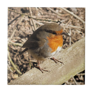 CUTE ROBIN CERAMIC TILE