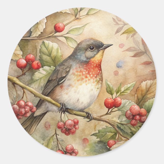 Cute Robin Classic Round Sticker (Front)