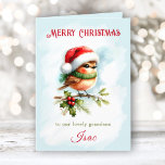 Cute Robin In Santa Hat Grandson Kids Christmas Card<br><div class="desc">Cute classic folded card with an adorable Christmas robin bird in Santa hat for kids or just for sending some Christmas cuteness to your friends. Easily personalise this card with your own text. - Kate Eden Art</div>