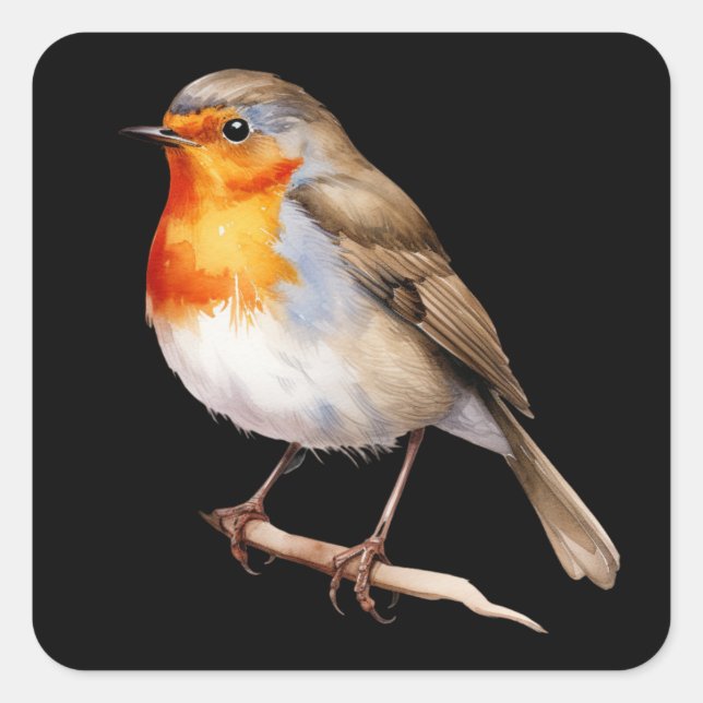 Cute Robin Square Sticker (Front)