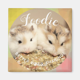 Cute Robo Hamsters Foodie Magnet