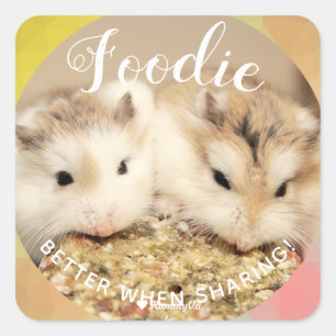 Cute Robo Hamsters Foodie Square Sticker