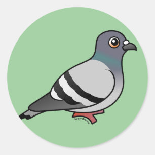 Cute Rock Pigeon Classic Round Sticker