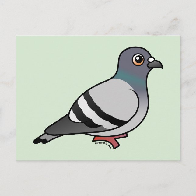 Cute Rock Pigeon Postcard (Front)
