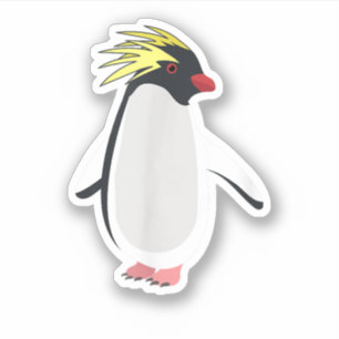 Cute Rockhopper Penguin Funny Antarctic Animal