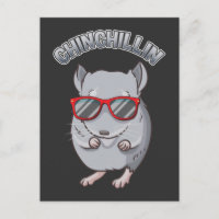 Cute Rodent Chinchilla with Sunglasses