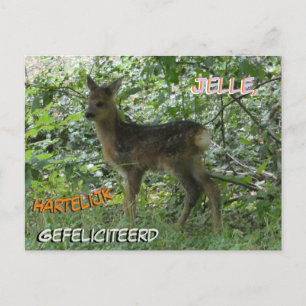 Cute Roe Deer in the Forrest Birthday Postcard