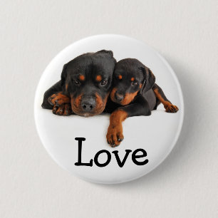Cute Rottie Puppy Dog Lover Gifts Funny Rottweiler 6 Cm Round Badge