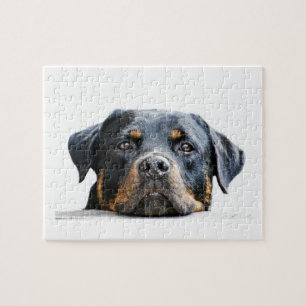 Cute Rottweiler   Dog Breed Face Jigsaw Puzzle