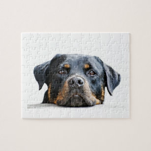 Dog Breeds Jigsaw Puzzles Zazzle Com Au