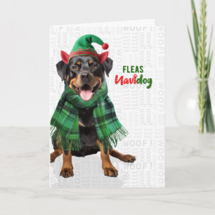 Cute Rottweiler Dog Funny Fleas Navidog Christmas Holiday Card