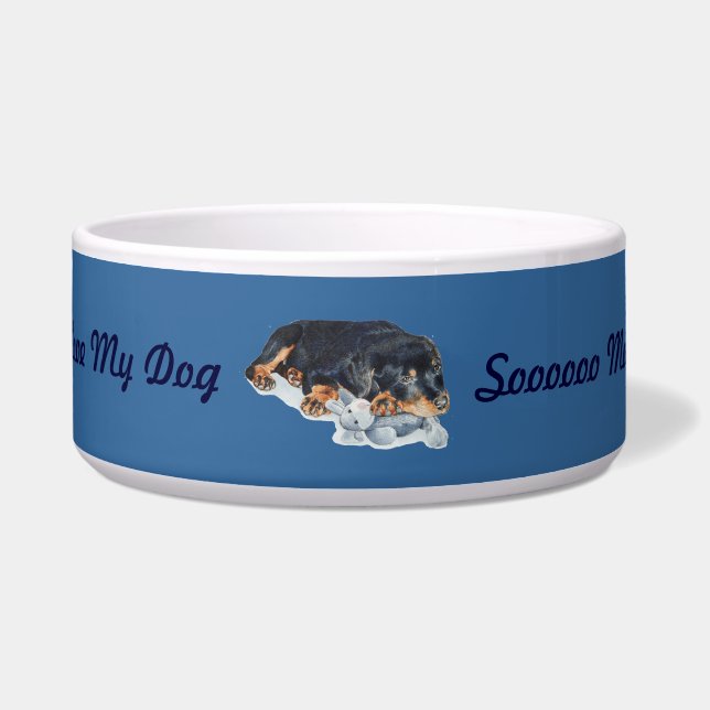 cute rottweiler puppy dog cuddling teddy bear (Front)