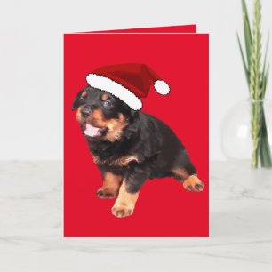 Cute Rottweiler Puppy Wearing Cartoon Santa Hat Holiday Card