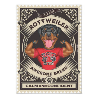 Cute Rottweiler Rottie with Muscles Photo Print