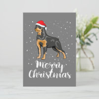 Cute Rottweiler Santa Hat Merry Christmas Costume