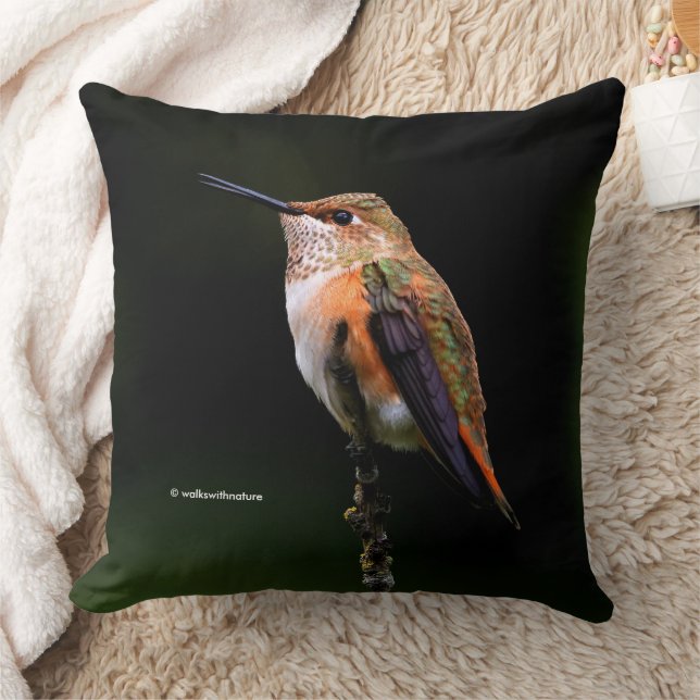 Cute Rufous Hummingbird on Fruit Tree Cushion (Blanket)