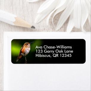 Cute Rufous Hummingbird on Fruit Tree Return Address Label