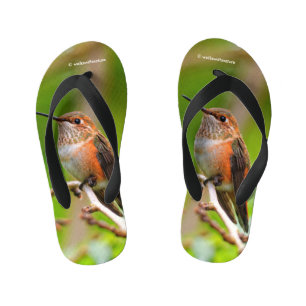Cute Rufous Hummingbird on Plum Tree Branch Kid's Thongs
