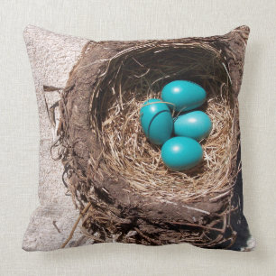 Cute Rustic Bird's Nest Blue Robin Eggs Cushion