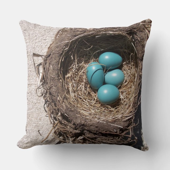 Cute Rustic Bird's Nest Blue Robin Eggs Cushion (Front)