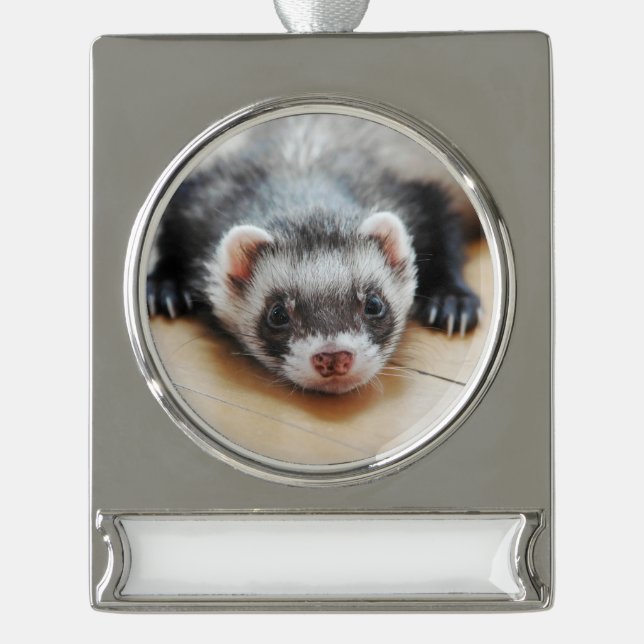 Cute Sable Ferret Silver Plated Banner Ornament (Front)