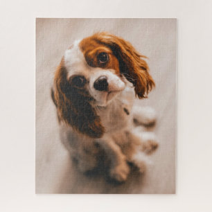Cute Sad Eyes Red White Cocker Spaniel Puppy Dog Jigsaw Puzzle