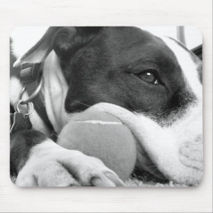 cute sad looking pitbull dog black white with ball mouse pad