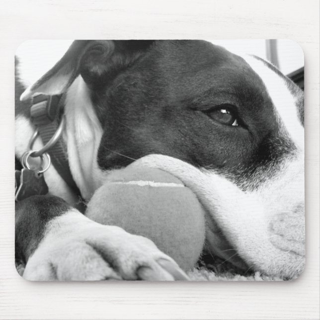 cute sad looking pitbull dog black white with ball mouse pad (Front)