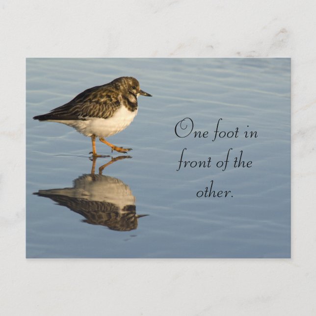 Cute Sadpiper Bird Motivational Postcard (Front)