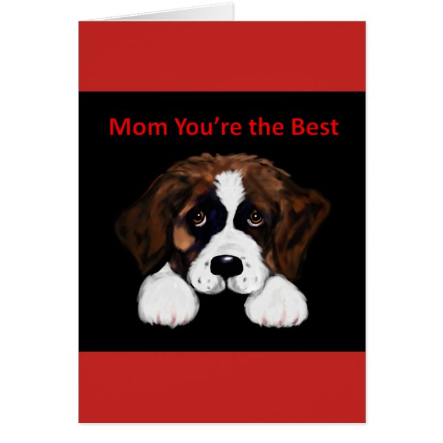 Cute Saint Bernard (Front)