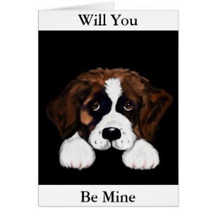 Cute Saint Bernard