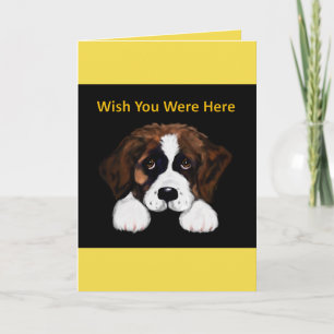 Cute Saint Bernard Card