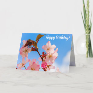 Cute Sakura Flowers Open To The Spring Sunshine Card