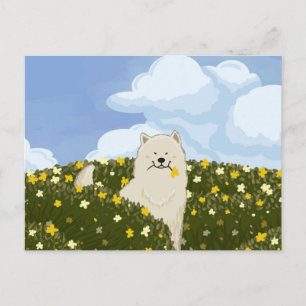 Cute Samoyed Dog in Field of Yellow Flowers (Blue) Postcard