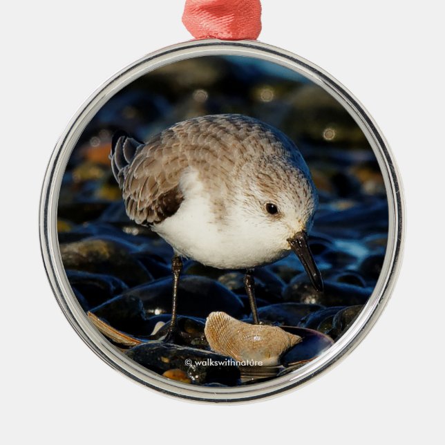 Cute Sanderling Sandpiper Enjoys Seaside Dining Metal Tree Decoration (Front)