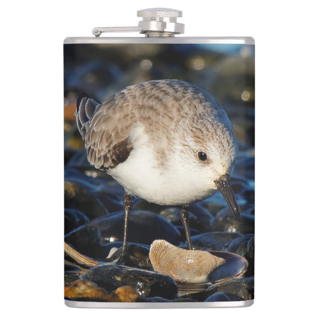 Cute Sanderling Sandpiper Shorebird Dines on Clam Hip Flask (Front)