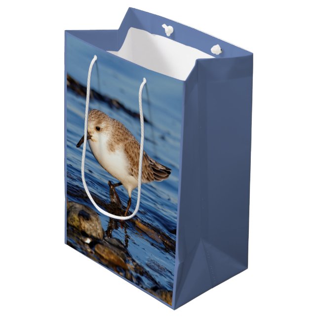 Cute Sanderling Sandpiper Wanders Wintry Shores Medium Gift Bag (Front Angled)