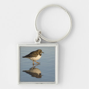 Cute Sandpiper Bird Keychain