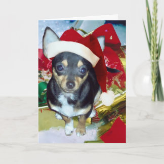 Cute Santa Chihuahua AngelPearlGirl Holiday Card