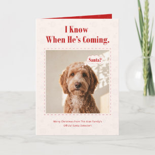 Cute Santa Funny Dog Photo Christmas Holiday Card