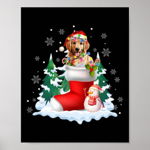 Cute Santa Golden Retriever In Christmas Socks Dog Poster